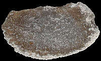 Better quality bryozoic flint
