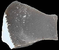 Glassy senonian flint