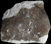 Chert with cortex