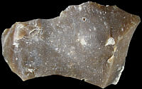 Brown chert