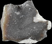 Gray Tertiary flint