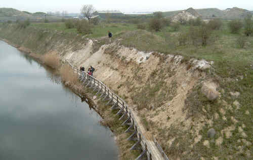 Exposure at former chalk pit at Klintholm