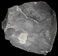 Cloudy baltic flint