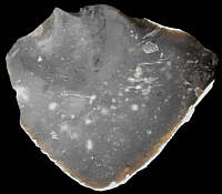 Glassy grey flint