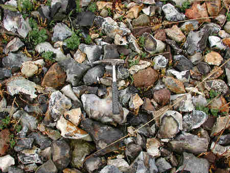 Very diverse flints at Hasselø