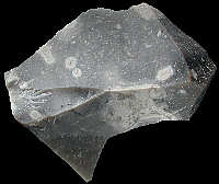 Nordic flint