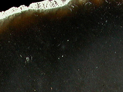 Detail of Upper Cretaceous flint