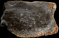 Prehistoric artefact