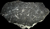 Tertiary flint